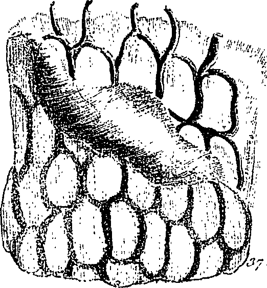 099/099300010101610_2.png