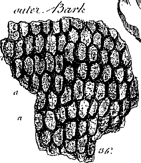 099/099300010101610_3.png