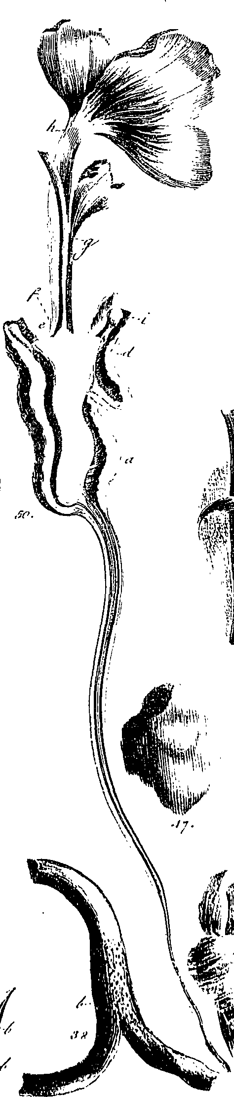 099/099300010101610_4.png