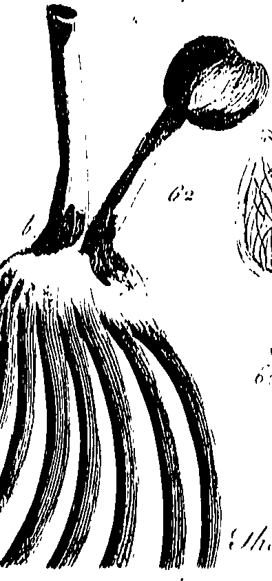 099/099300010101620_0.png