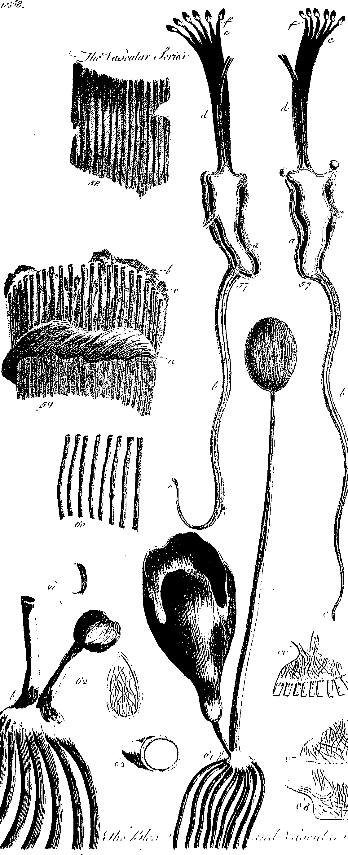 099/099300010101620_1.png