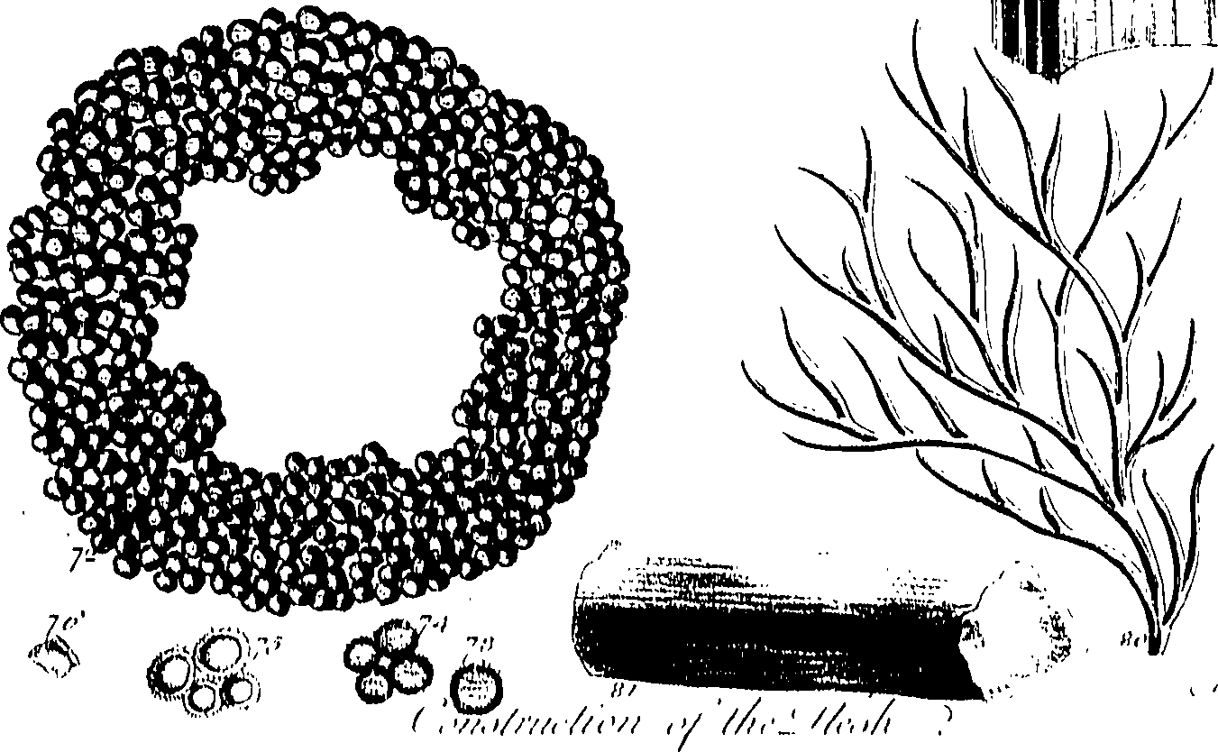 099/099300010101630_0.png