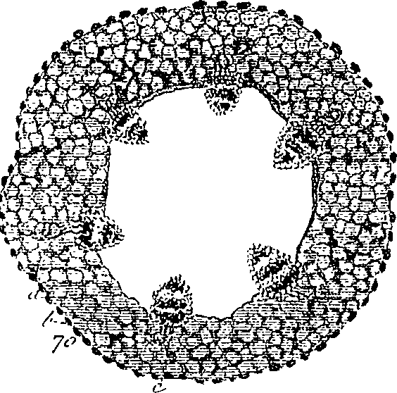 099/099300010101630_3.png