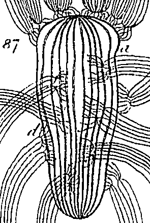 099/099300010101640_0.png