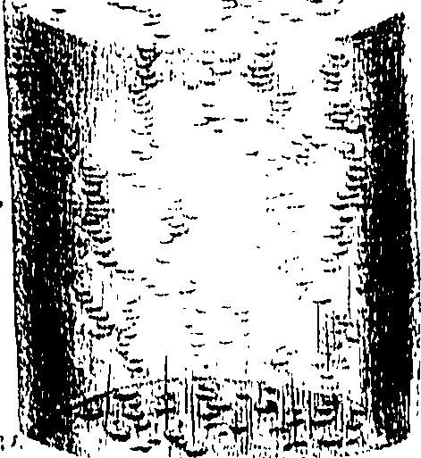 099/099300010101650_1.png