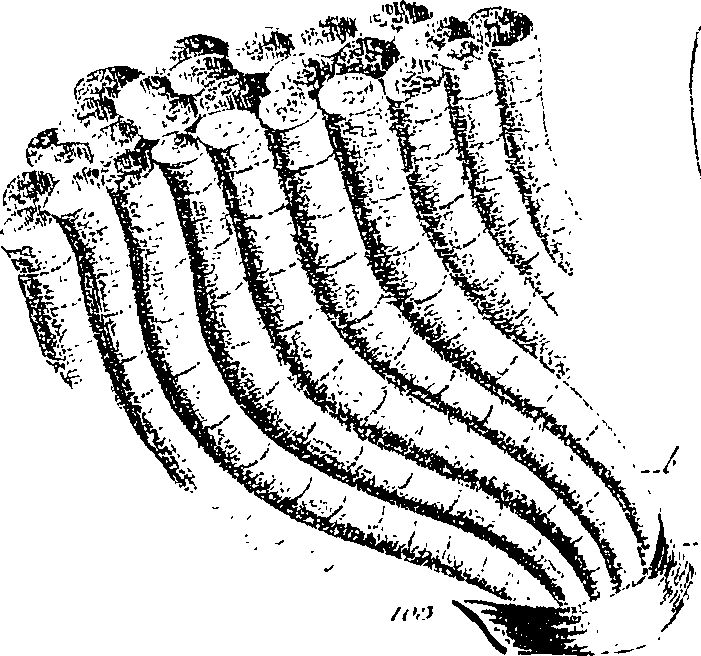 099/099300010101650_2.png