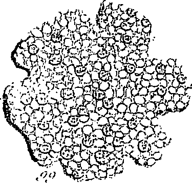 099/099300010101650_3.png