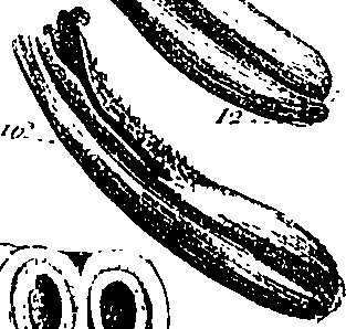 099/099300010101660_0.png