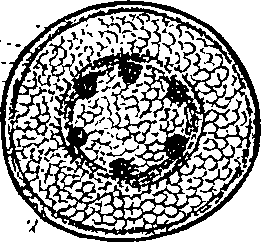 099/099300010101660_1.png