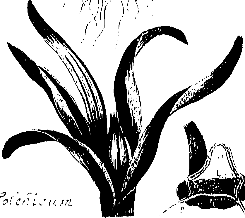 099/099300010101670_0.png