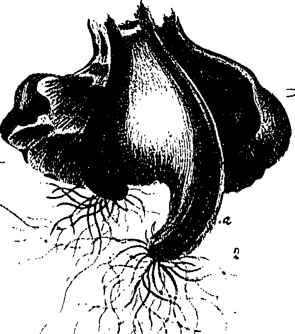 099/099300010101670_1.png