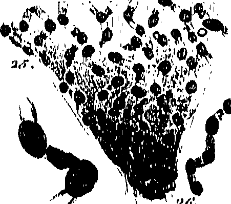 099/099300010101720_0.png