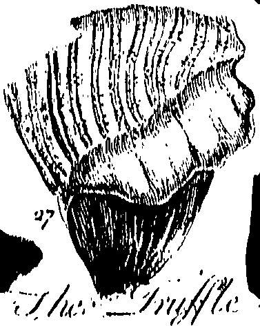 099/099300010101720_1.png