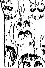 099/099300010101720_2.png