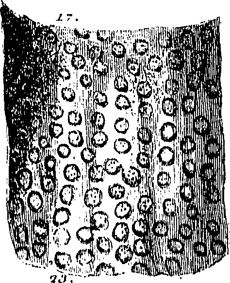 099/099300010101720_3.png