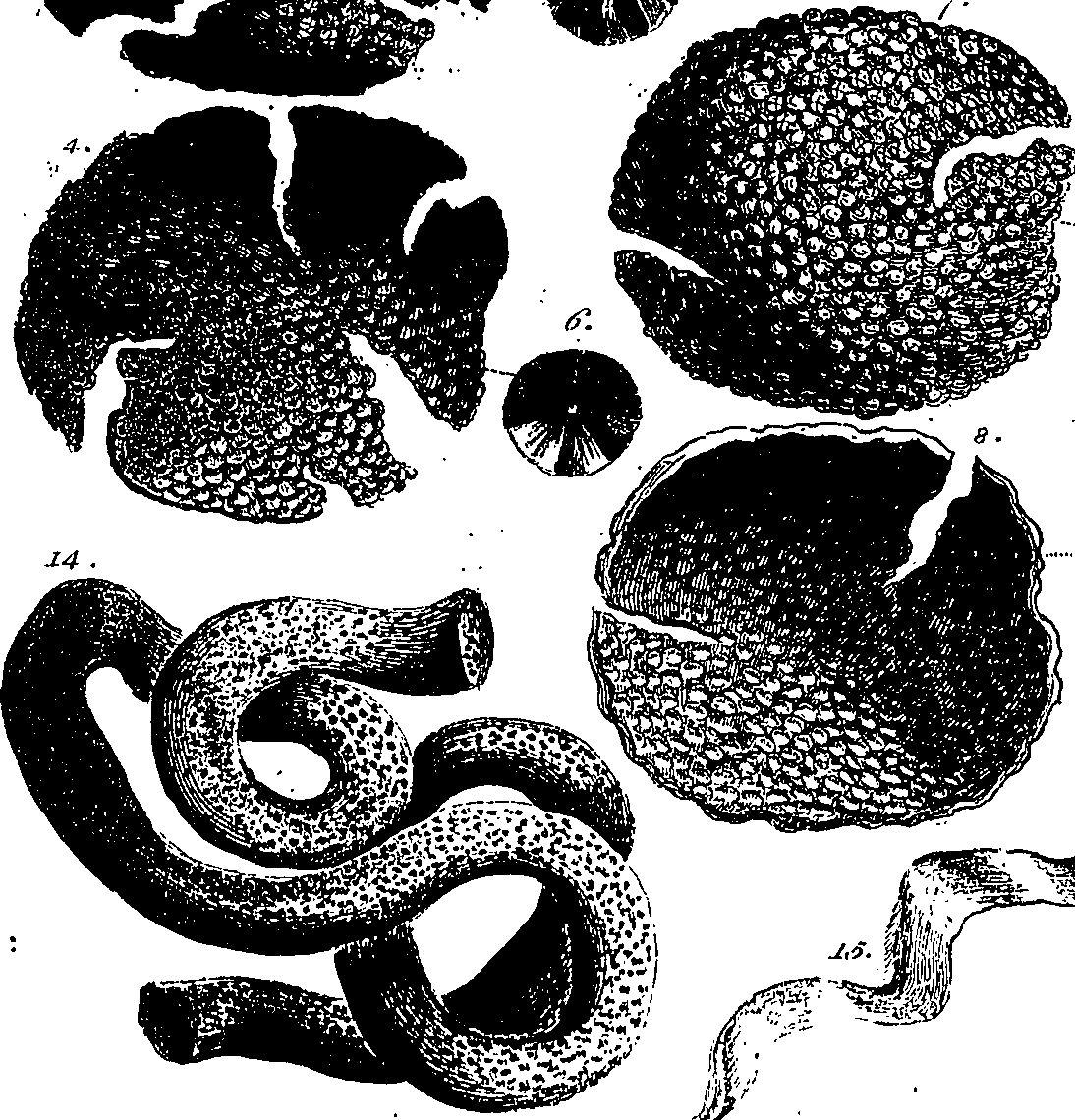 099/099300010101720_4.png