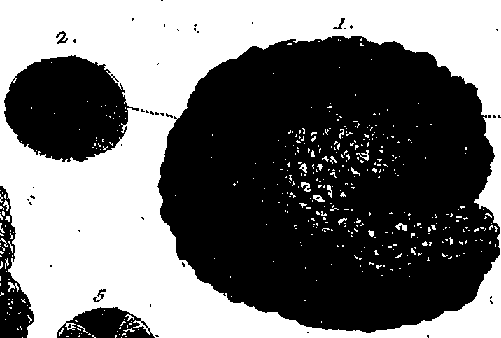 099/099300010101720_5.png