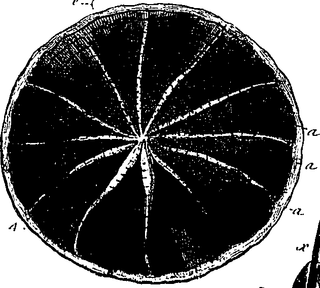 099/099300010101740_0.png