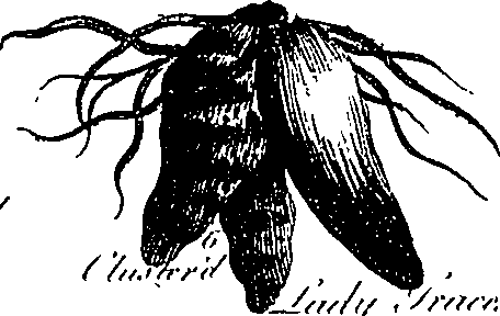 099/099300010201370_1.png