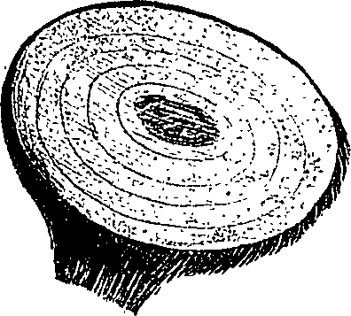 099/099300010201370_2.png
