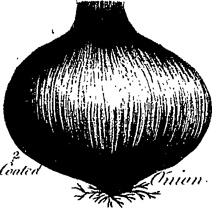 099/099300010201370_3.png