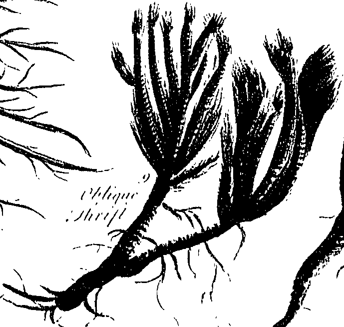 099/099300010201380_0.png