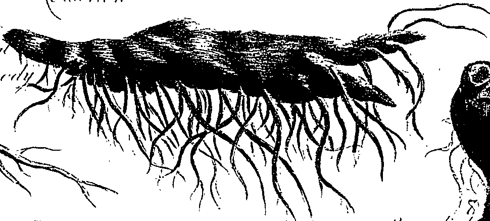 099/099300010201380_1.png
