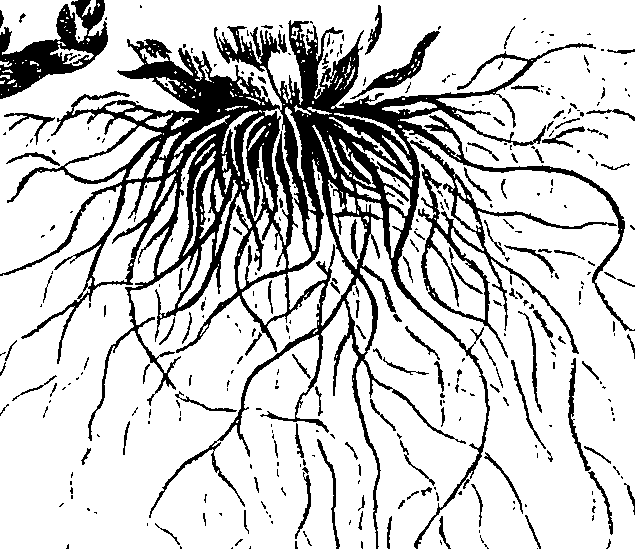 099/099300010201380_2.png