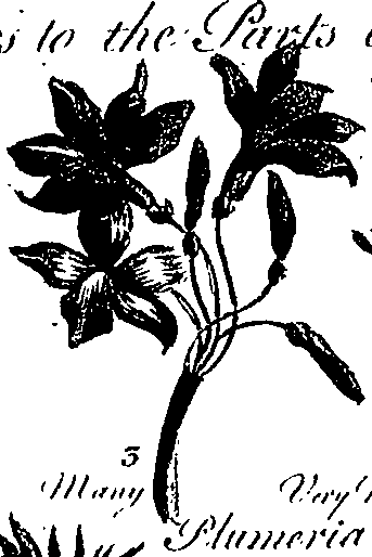 099/099300010201410_1.png