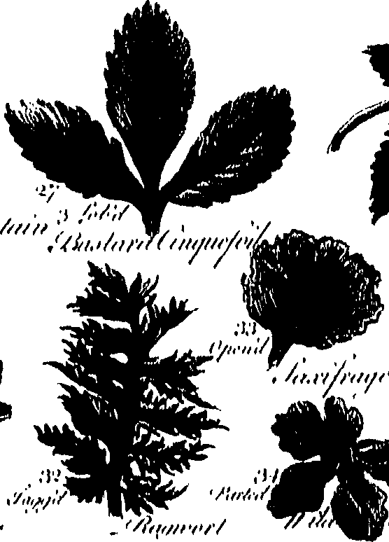 099/099300010201420_0.png