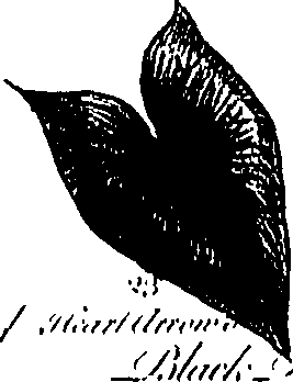 099/099300010201420_1.png