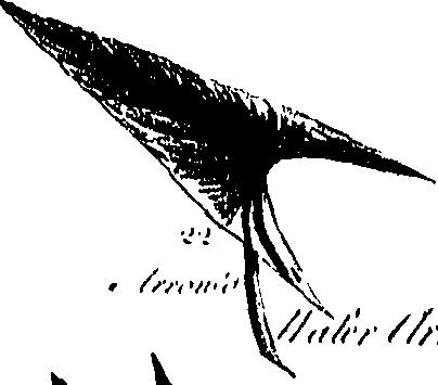 099/099300010201420_2.png