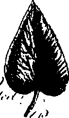 099/099300010201420_3.png