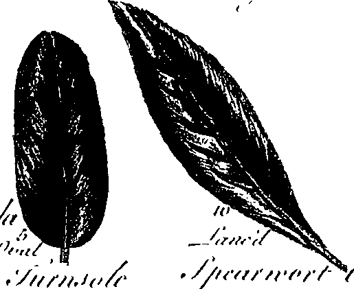 099/099300010201420_4.png