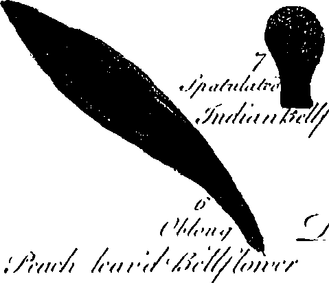 099/099300010201420_5.png