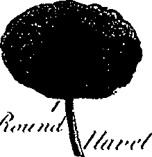 099/099300010201420_6.png