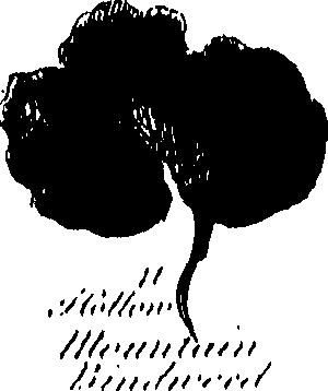 099/099300010201430_0.png
