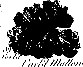 099/099300010201430_1.png