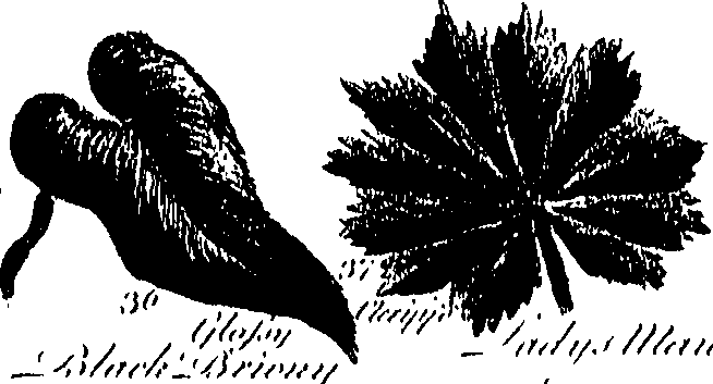 099/099300010201430_2.png