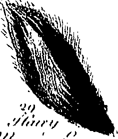 099/099300010201430_3.png