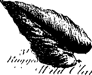 099/099300010201430_4.png