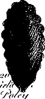 099/099300010201430_5.png
