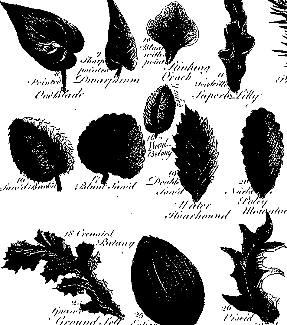 099/099300010201430_6.png