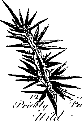 099/099300010201430_7.png