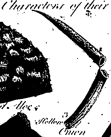 099/099300010201440_1.png