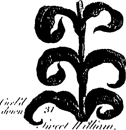 099/099300010201450_0.png