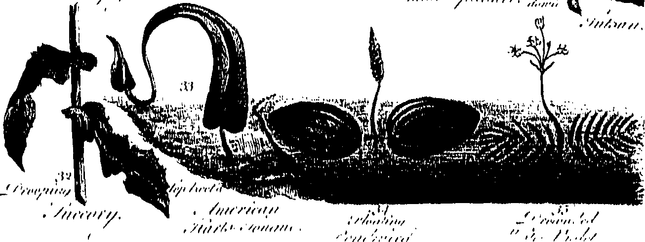 099/099300010201450_1.png