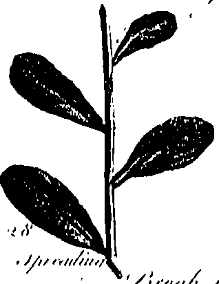099/099300010201450_2.png