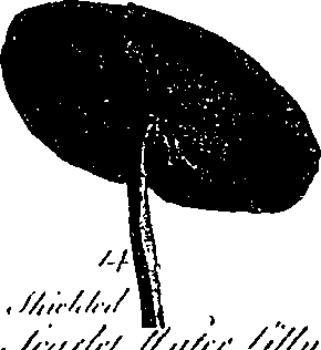099/099300010201450_3.png