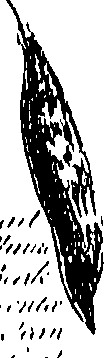 099/099300010201460_0.png